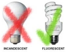 light bulb graphic